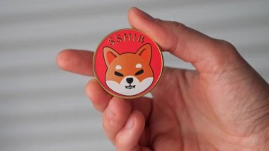 Rostock, Almanya - Kasım 09, 2021: Shibainu sembollü bir Shiba inu jetonu, Shibainu sembollü bir kadın, Shiba marka yatırım ve ticaret konsepti