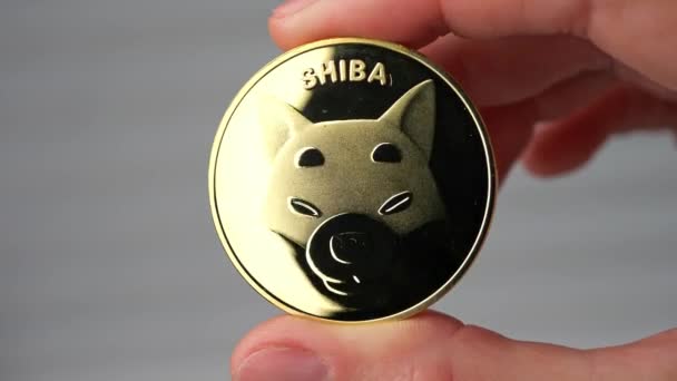 Rostock, Germany - november 09, 2021: woman holding one Shiba inu token, coin with Shibainu symbol, concept of investing and trading in Shiba token — Stock Video