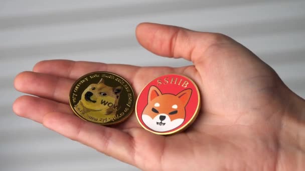 Rostock, Németország - november 09, 2021: Shiba inu és dogecoin token tartó nő, Shibainu szimbólummal ellátott érme, Shiba és dogecoin token befektetési és kereskedési koncepciója — Stock videók