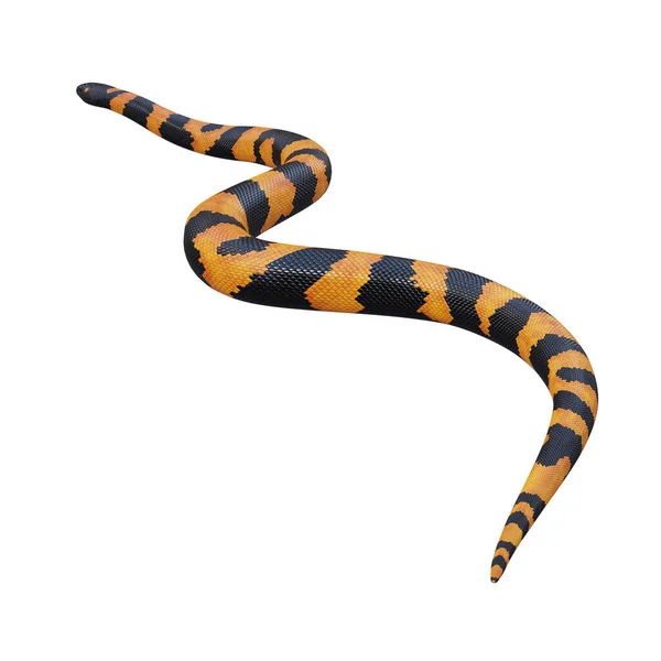 俾斯麦环蟒蛇3D图解 — 图库照片