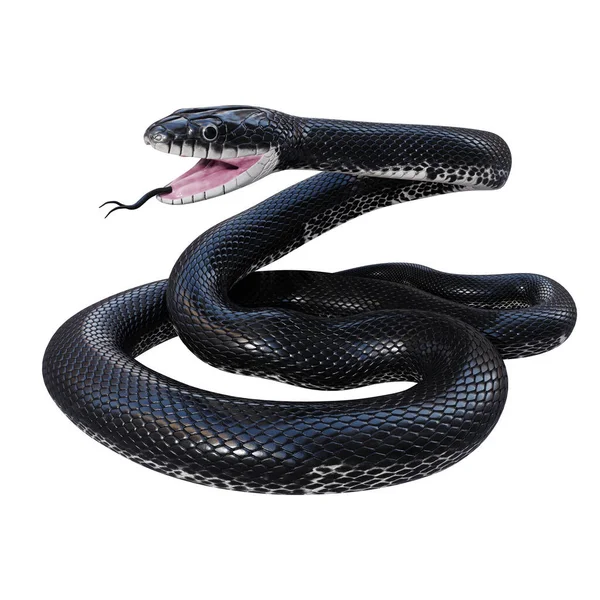 黒ネズミのヘビの3Dイラスト — ストック写真