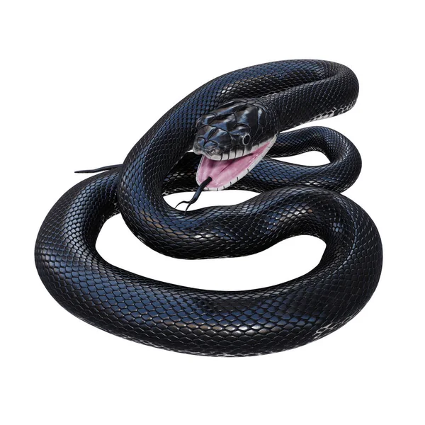Siyah Fare Yılanı Nın Boyutlu Çizimi — Stok fotoğraf