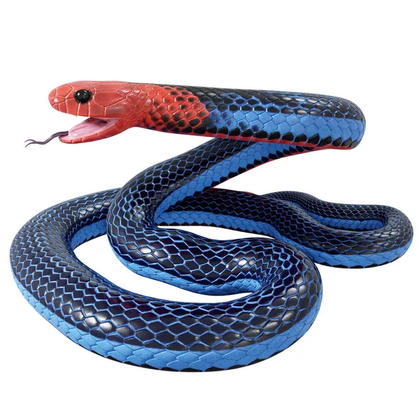 蓝珊瑚蛇的3D图像 — 图库照片