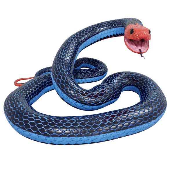 Illustration Der Schlange Aus Blaukorallen — Stockfoto