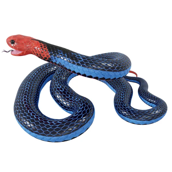 Ilustración Serpiente Coral Azul — Foto de Stock