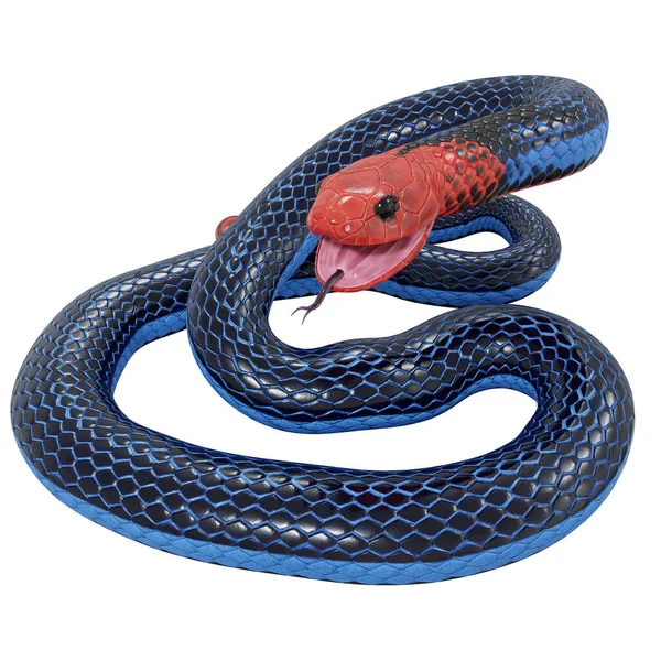 Illustration Blue Coral Snake — Stock Photo, Image