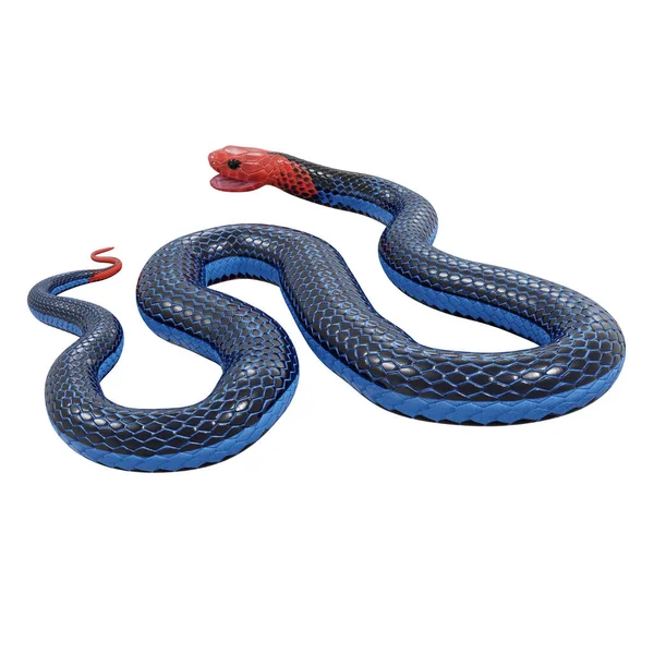 Ilustracja Niebieski Wąż Koralowy — Zdjęcie stockowe