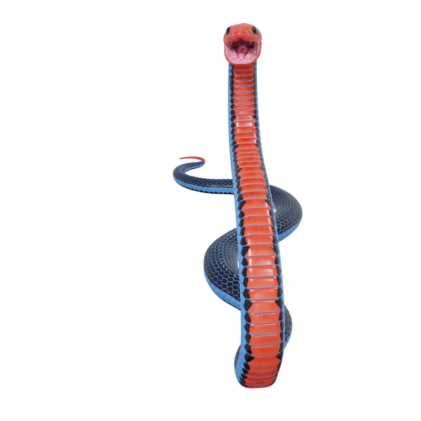 Illustration Serpent Corail Bleu — Photo