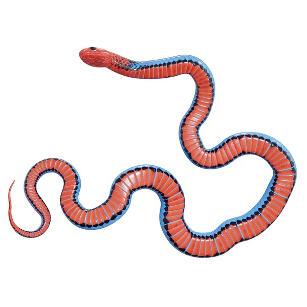 Illustrazione Serpente Corallo Blu — Foto Stock