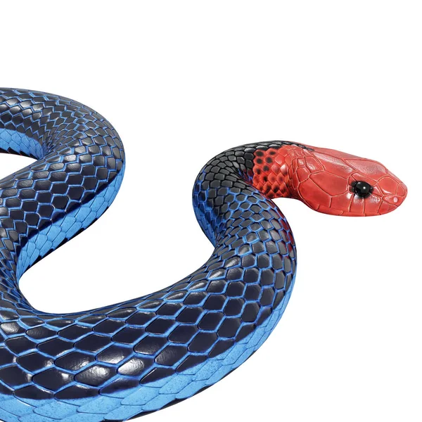Illustration Der Schlange Aus Blaukorallen — Stockfoto