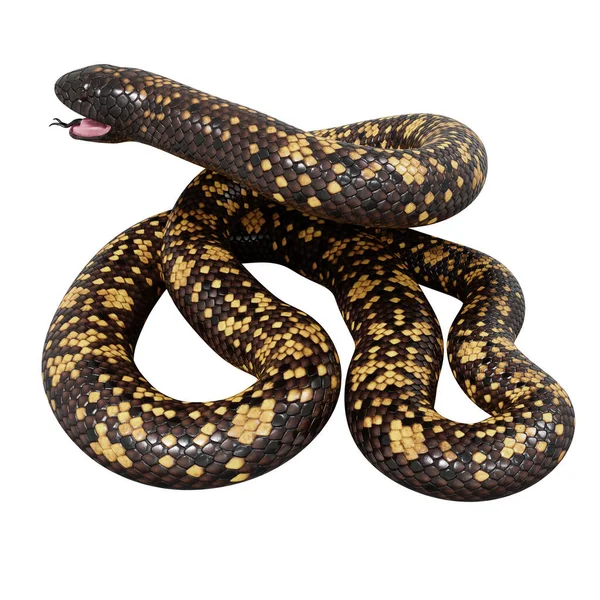 Illustration Calabar Python — Stockfoto