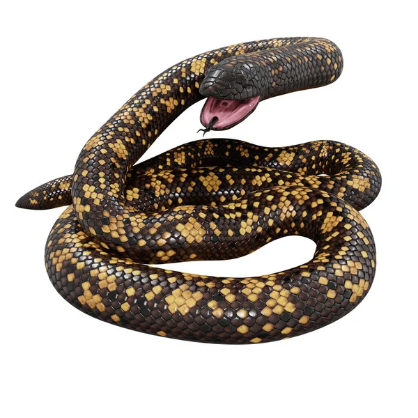 卡拉巴蟒蛇的3D图解 — 图库照片