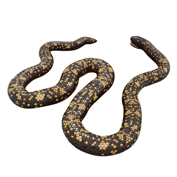 Calabar Pythonの3Dイラスト — ストック写真