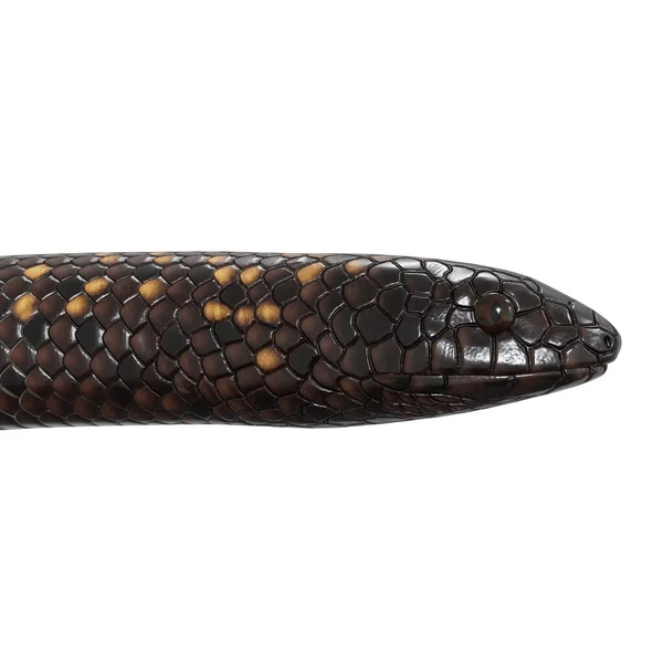 卡拉巴蟒蛇的3D图解 — 图库照片