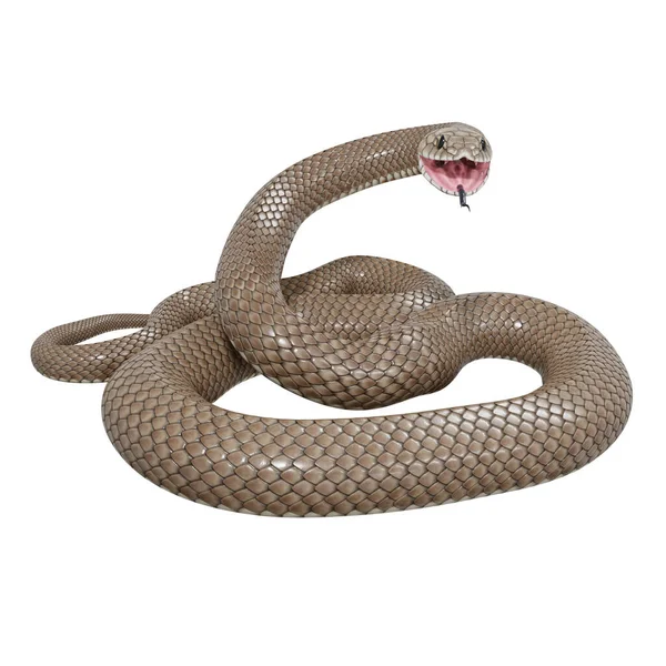 Трехмерная Иллюстрация Восточной Коричневой Змеи — стоковое фото