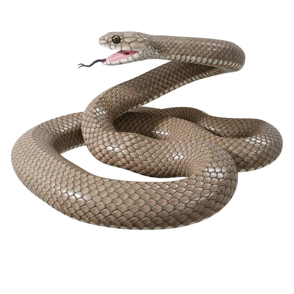 東茶色のヘビの3Dイラスト — ストック写真