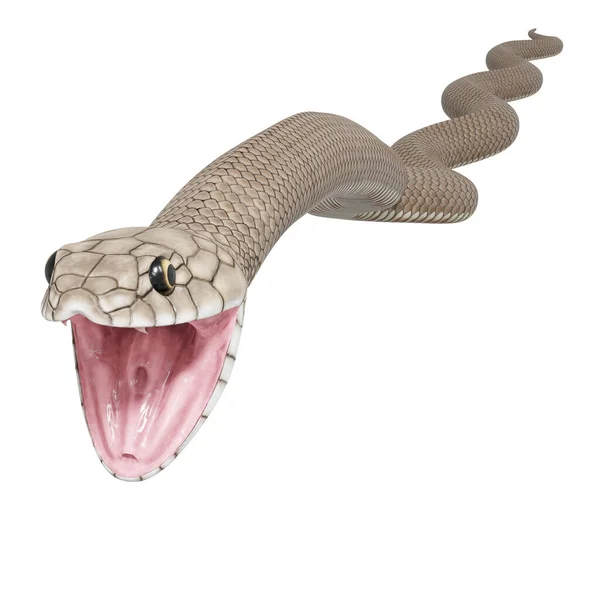 Трехмерная Иллюстрация Восточной Коричневой Змеи — стоковое фото