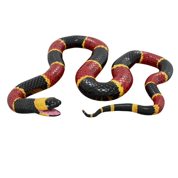 Illustration Eastern Coral Snake — Stock Photo, Image
