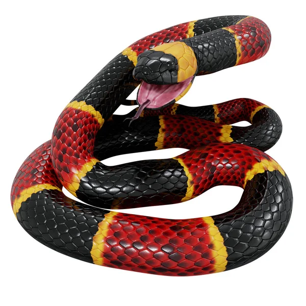 Illustration Eastern Coral Snake — Stock Photo, Image