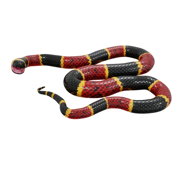 Illustrazione Del Serpente Corallo Orientale — Foto Stock