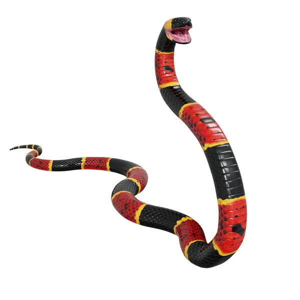 Illustrazione Del Serpente Corallo Orientale — Foto Stock