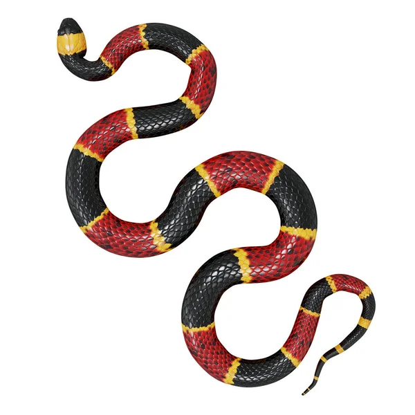 東サンゴヘビの3Dイラスト — ストック写真