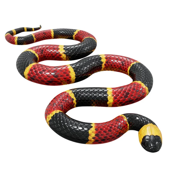 Трехмерная Иллюстрация Восточной Коралловой Змеи — стоковое фото