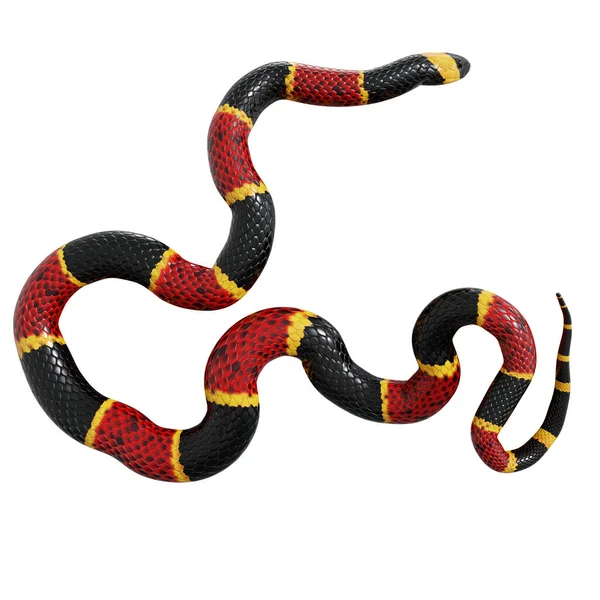 Cobra Circulada PNG , Serpente, Desenho Animado, 3d PNG Imagem