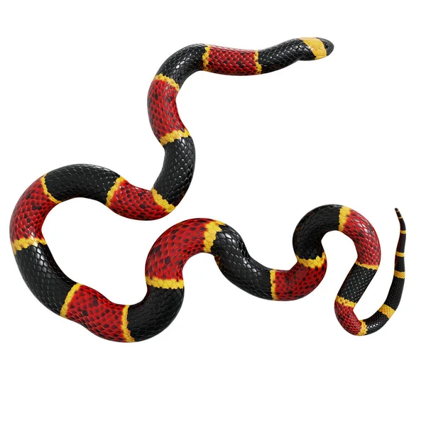 东珊瑚蛇的3D图像 — 图库照片