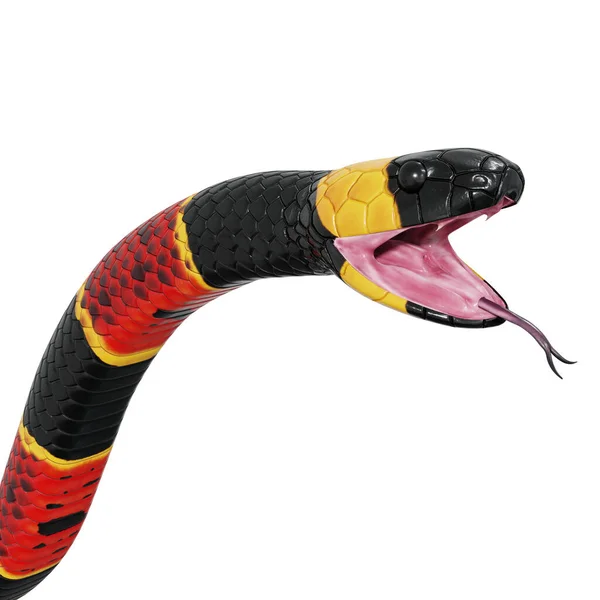 Ilustracja Wschodniego Węża Koralowego — Zdjęcie stockowe