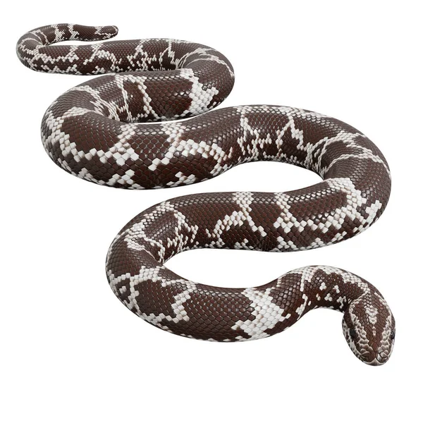 Illustration Kenyan Sand Boa — Stock Photo, Image