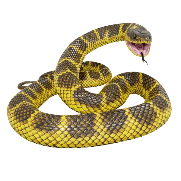 タイガーヘビの3Dイラスト — ストック写真