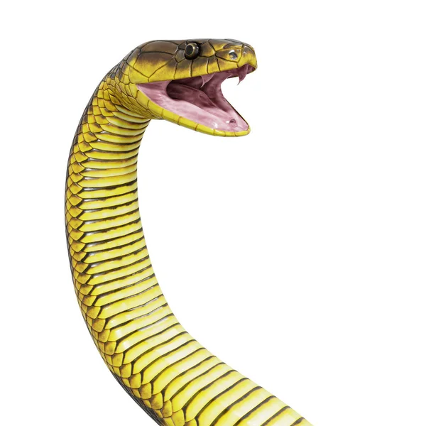 虎蛇3D图解 — 图库照片