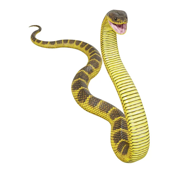 Ilustração Serpente Tigre — Fotografia de Stock