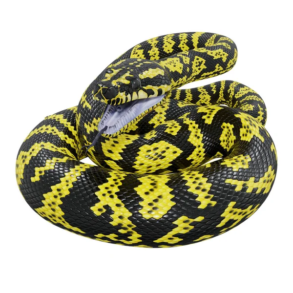 斑马丛林中地毯蟒蛇3D图解 — 图库照片
