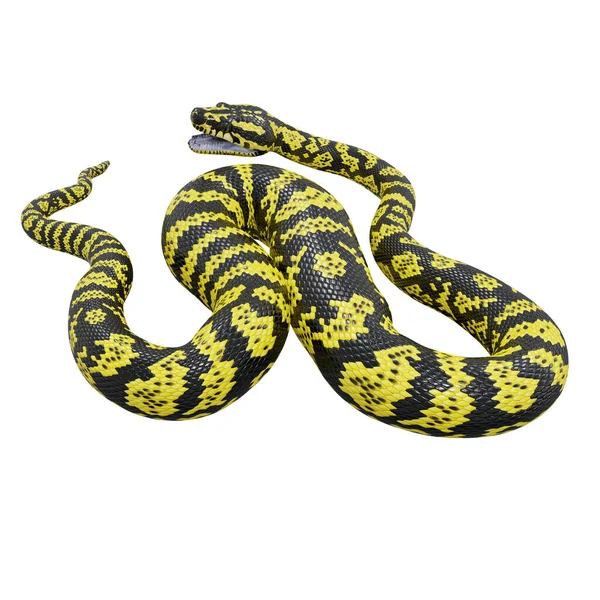 Ilustração Tapete Selva Zebra Python — Fotografia de Stock