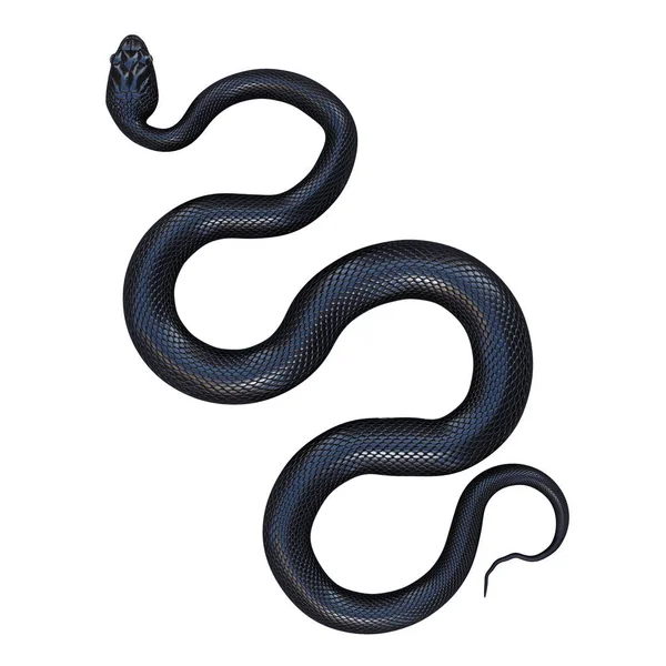 Illustration Serpent Rat Noir Photo De Stock