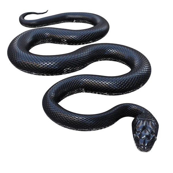 黒ネズミのヘビの3Dイラスト ストック画像