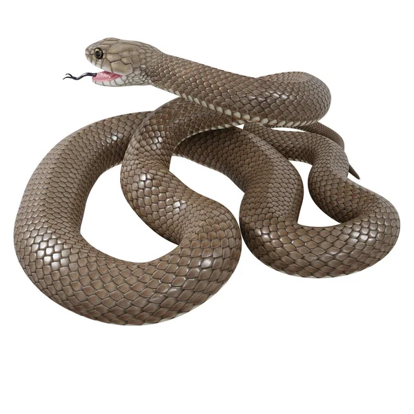 東茶色のヘビの3Dイラスト ロイヤリティフリーのストック写真