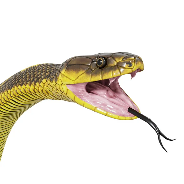 タイガーヘビの3Dイラスト ストックフォト