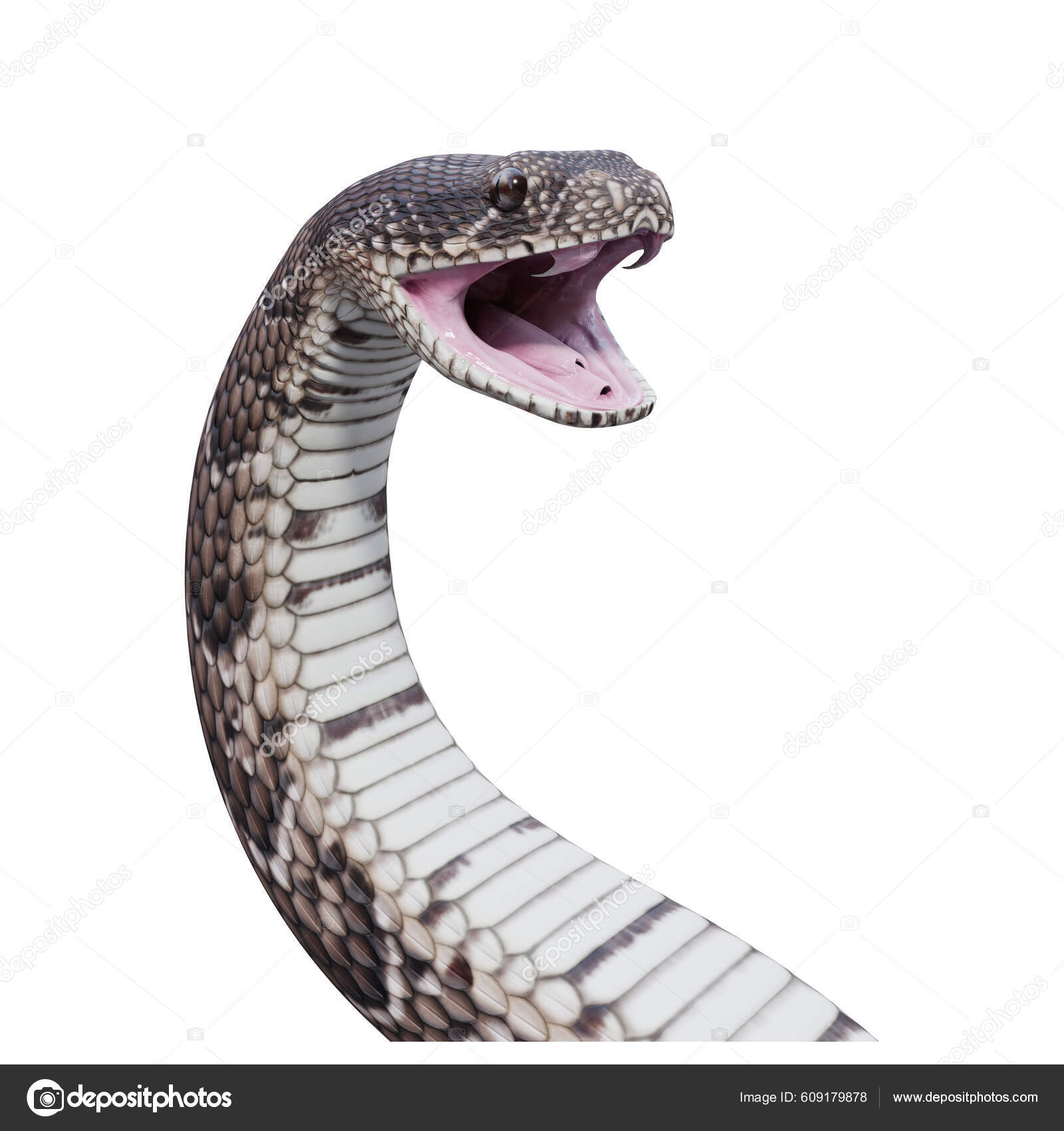 3d ilustração cobra rei a cobra venenosa mais longa do mundo