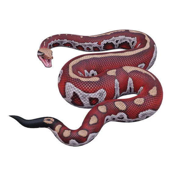 血蟒蛇3D插图 — 图库照片