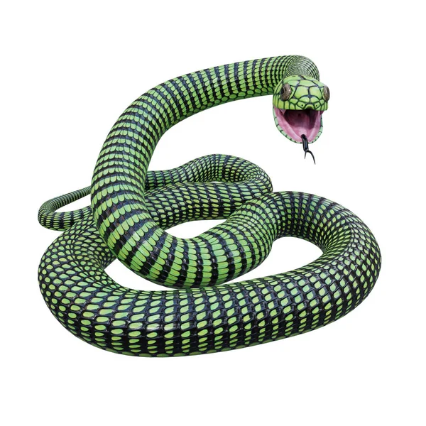 Boomslang Serpente Illustrazione — Foto Stock