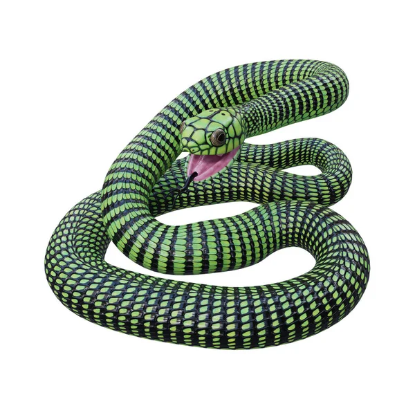 Boomslang Serpente Illustrazione — Foto Stock