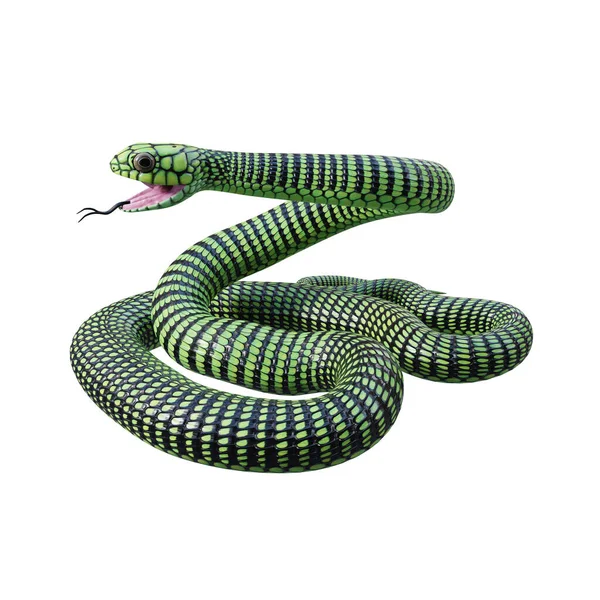 Boomslang Snake 3D图解 — 图库照片