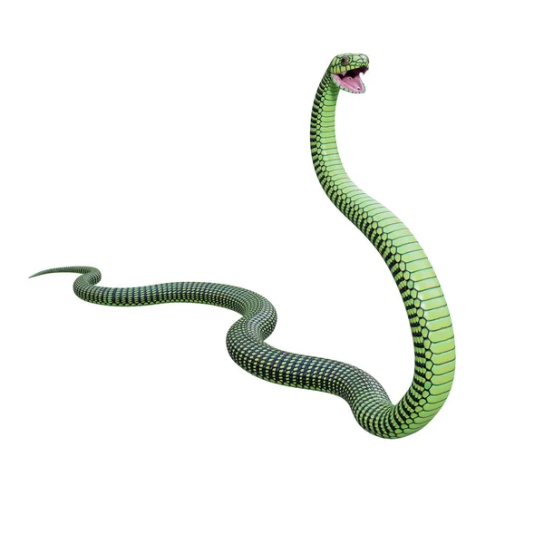 Boomslang Serpente Ilustração — Fotografia de Stock