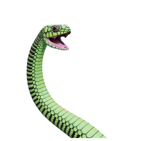 Boomslang Serpiente Ilustración —  Fotos de Stock
