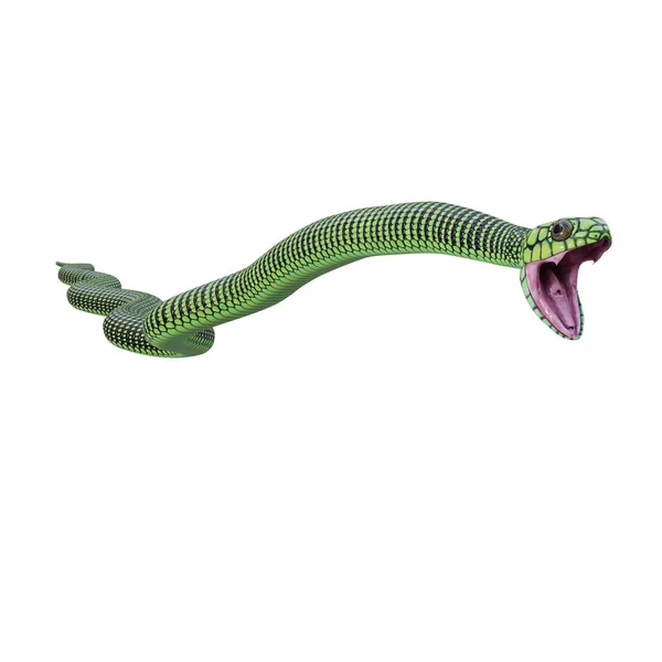Boomslang Snake 3D图解 — 图库照片