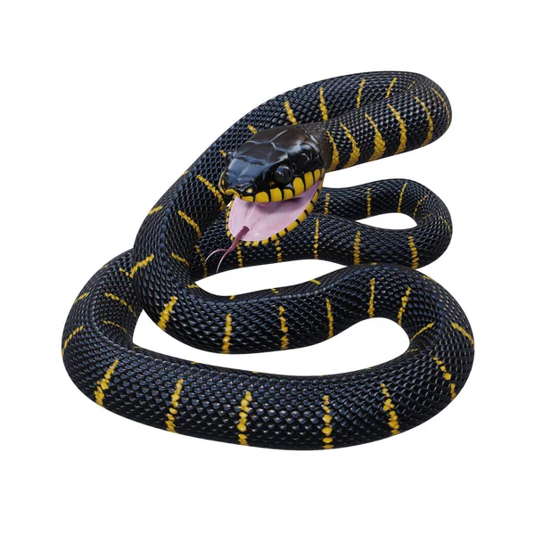 Manguezal Serpente Ilustração — Fotografia de Stock