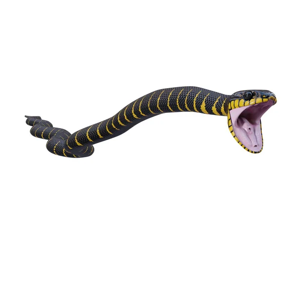 Mangrove Snake Illustration — Stock Photo, Image